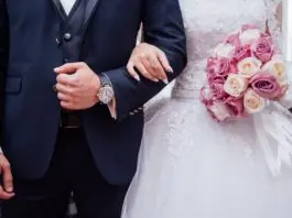 My Wedding Dress Search
